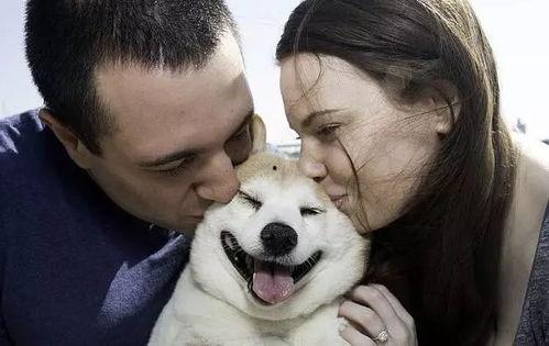 娱乐吃瓜酱最幸福的狗狗,揭秘最幸福的狗狗生活